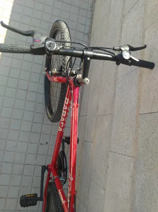 Bicicleta de montaña económica 
