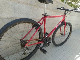 Bicicleta de montaña económica 