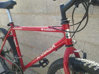Bicicleta de montaña económica 