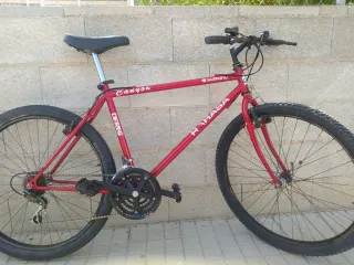 Bicicleta de montaña económica 