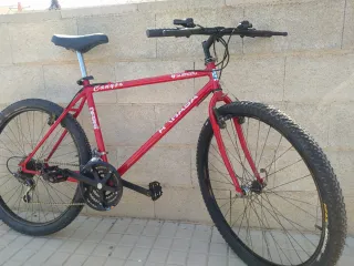 Bicicleta de montaña económica 