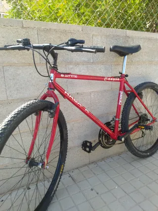 Bicicleta de montaña económica 