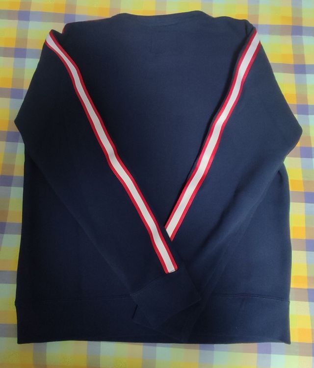 Sudadera Hollister chico azul T-S