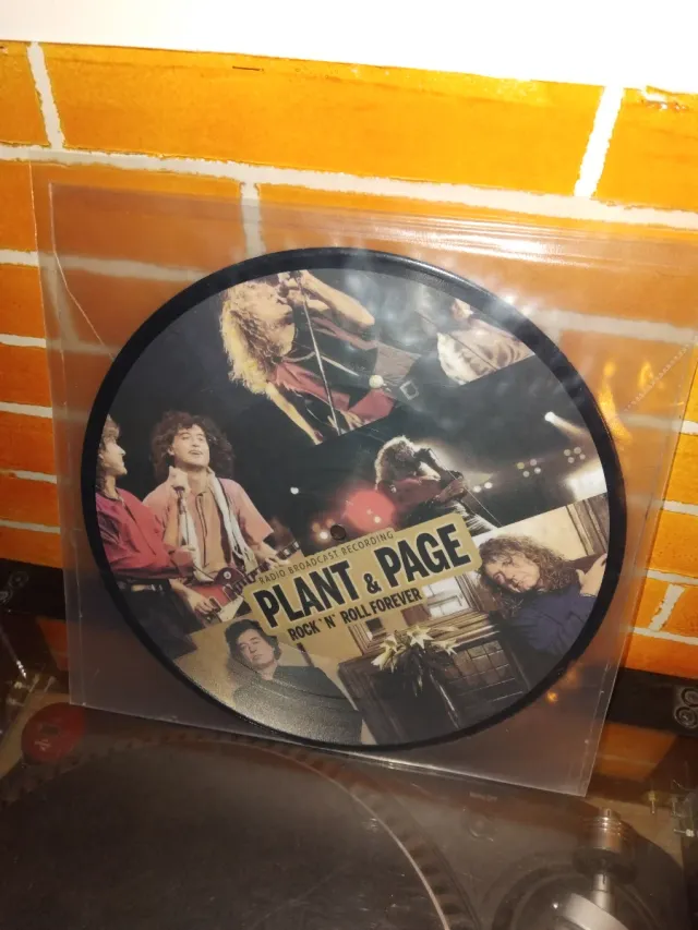 LP Plant & Page - Rock 'n' Roll Forever (Picture)