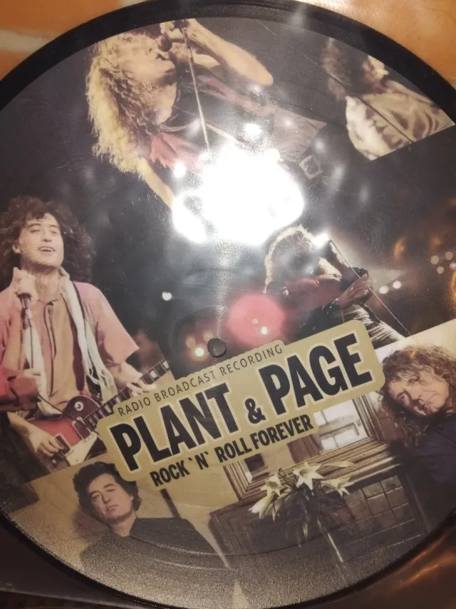 LP Plant & Page - Rock 'n' Roll Forever (Picture)