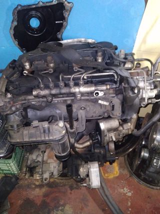 Motor Ford Transit 2.2 cdti