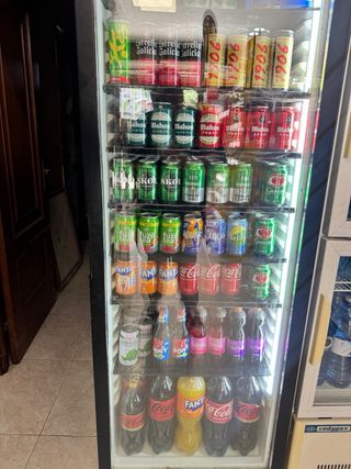 Nevera de bebidas