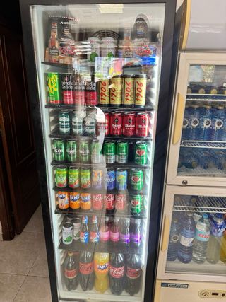 Nevera de bebidas