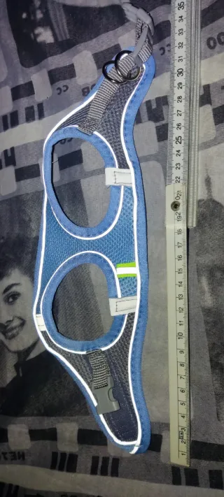 Pettorina per cani XS blu e grigia