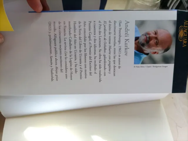 Abejas grises / Grey Bees (Spanish Edition)