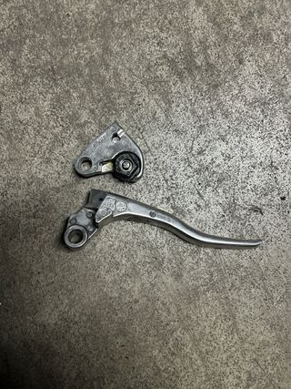 Manetas Kawasaki