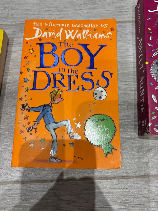 The Boy in the Dress