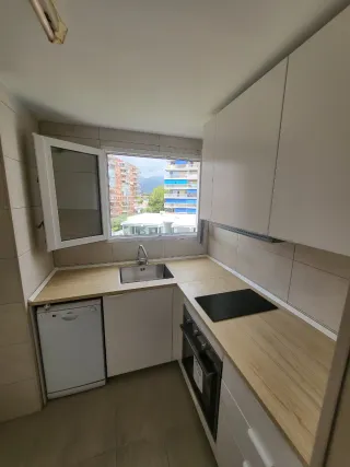 Albañil profesional autónomo