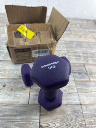 Set di 2 manubri 