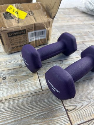 Set di 2 manubri 