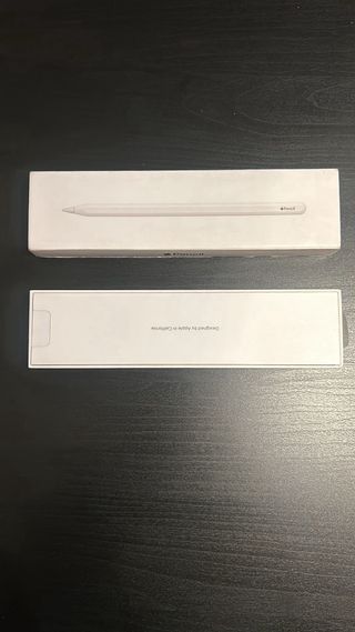 Apple Pencil 2ª Generación 