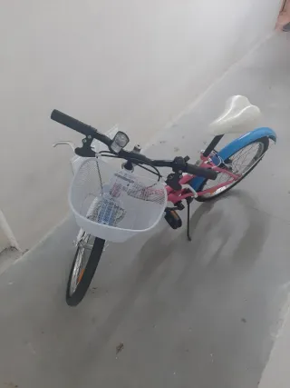 Bicicleta Infantil Rosa y Azul