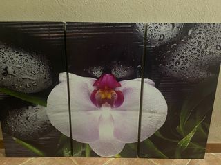 Cuadro triptico flor orquídea