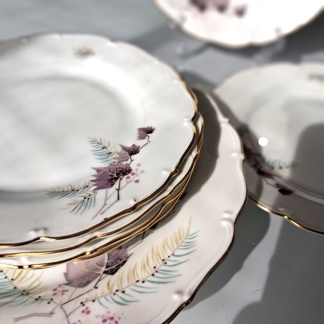 7 Piatti Haas & Czjzek Porcellana