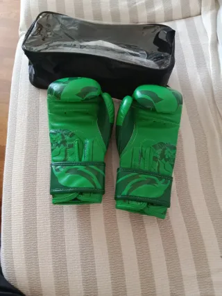 Guantes de boxeo Leone verdes con bolsa
*niños 
