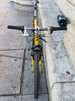 Bicicleta EDR RAZA