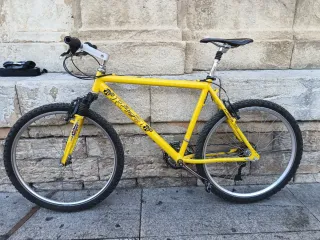 Bicicleta EDR RAZA