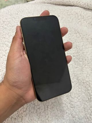 iPhone 13 Pro Max Dorado