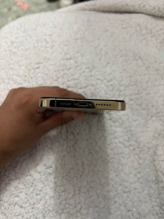 iPhone 13 Pro Max Dorado