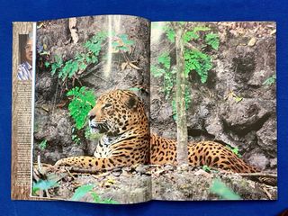 GUATEMALA, UN PARAISO DE LA NATURALEZA