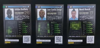 Panini Football League 2015 PFL 10