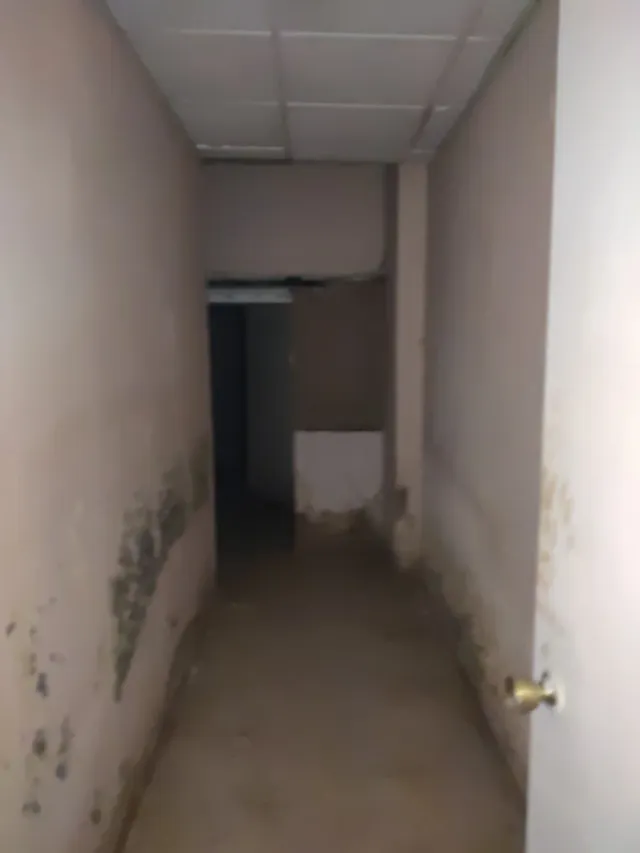 Local comercial en venta