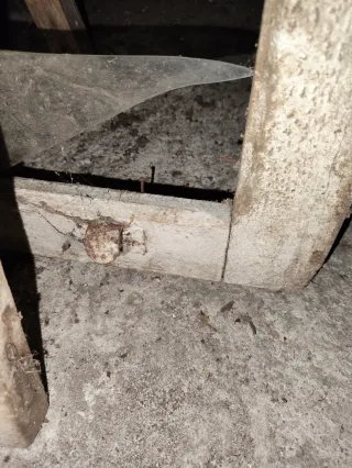 Conjunto de 2 ventanas antiguas de madera