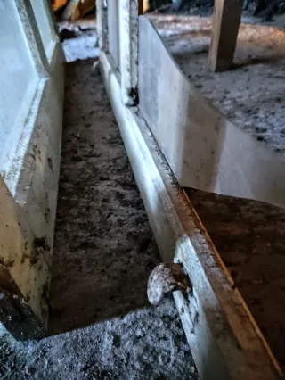 Conjunto de 2 ventanas antiguas de madera