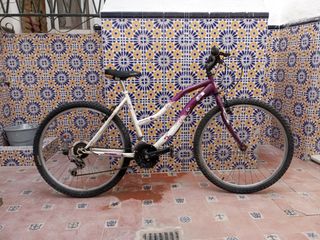Bicicleta Mujer 26 Morado/Blanco