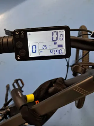 Bicicleta Eléctrica RIVERSIDE 500E talla XL