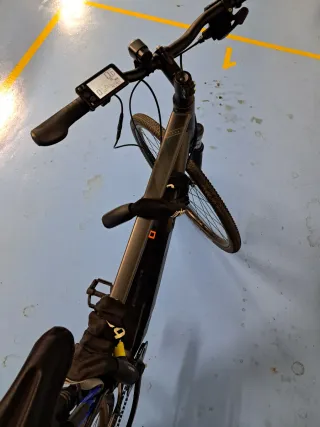 Bicicleta Eléctrica RIVERSIDE 500E talla XL