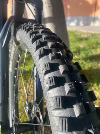 TREK FUEL EX 8 2021