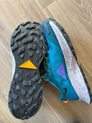 Zapatillas Nike pegasus trail