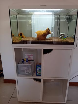 Acquario 60 litri completo di accessori