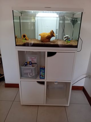 Acquario 60 litri completo di accessori