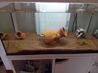 Acquario 60 litri completo di accessori