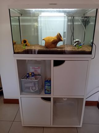 Acquario 60 litri completo di accessori