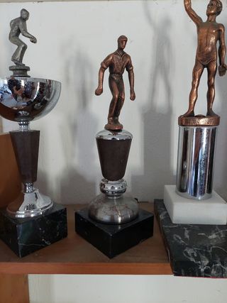 Varios Trofeos Deportivos