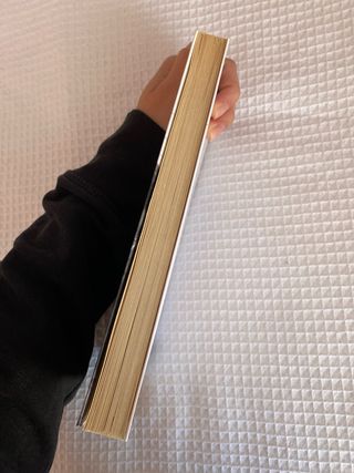 Hermanos de sangre: Una novela berlinesa