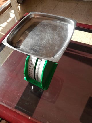 PRECIO FINAL! Báscula de cocina verde Bernar