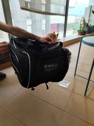 Bolsa de deporte Kipsta negra