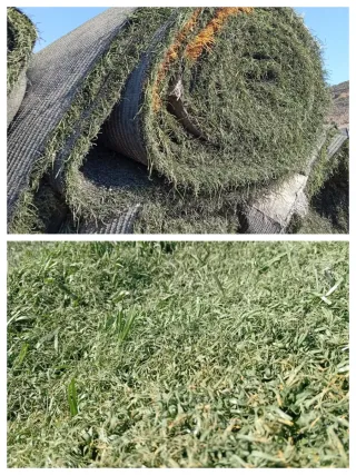 Césped artificial reciclado
