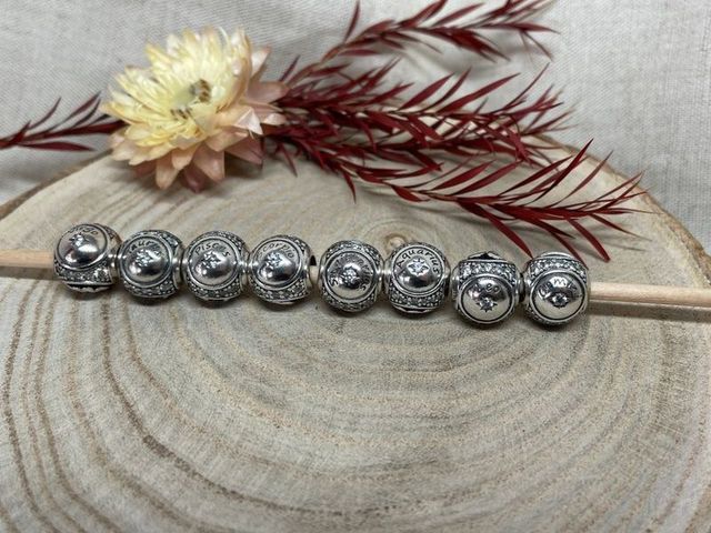 Charms Signos del Zodiaco