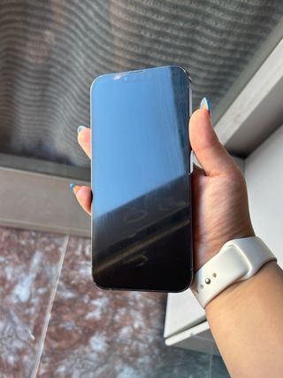 iPhone 13 Pro Max 256GB Azul Batería 75%