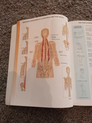 Libro anatomía 